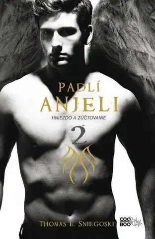 Sci-fi a fantasy Padlí anjeli 2 - Thomas E. Sniegoski,Terézia Štubniaková