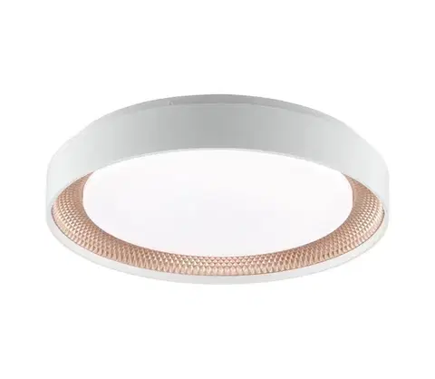 Svietidlá Brilliant - LED stmievateľné stropné svietidlo WALDO LED/24W/230V biela/ružovo-zlatá + DO G82015/85