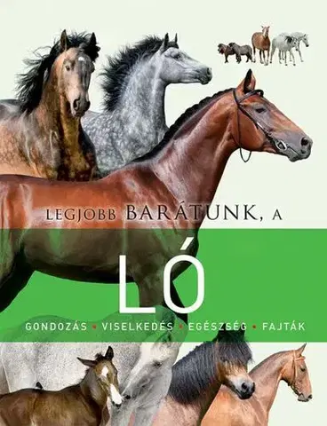 Kone Legjobb barátunk a ló - Kolektív autorov