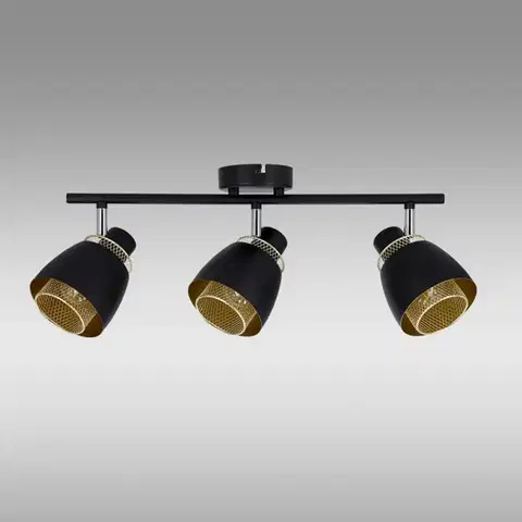 Lampy do obývačky Stropné bodové svietidlo Aleksandria 93-13767 LS3