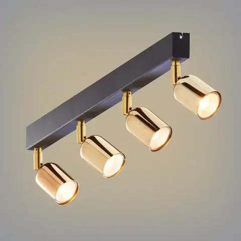 Lampy do obývačky Stropné bodové svietidlo Top Gold 6033 Ls4