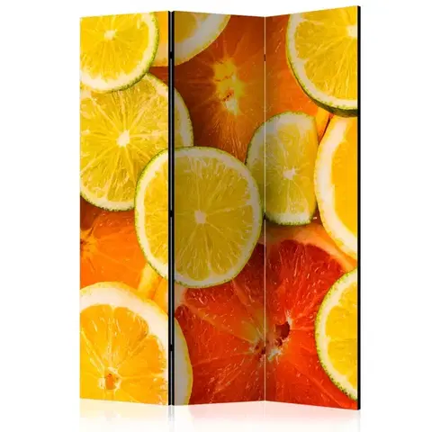 Paravány Paraván Citrus fruits Dekorhome