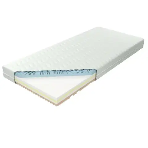 Penové matrace Matrac Dunaj Penové 80x200 Aloe Vera