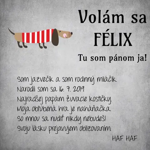 Tabuľky s venovaním (darčeky) Obraz na stenu - Menovka pre psíka nad peliešok, tabuľka s vlastným textom