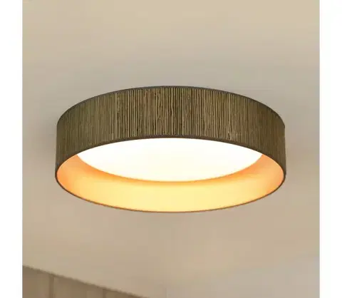 Svietidlá BRILAGI - LED stmievateľné svietidlo VEGAS SHINE LED/24W/230V hnedá/zlatá + diaľkové ovládanie 609166