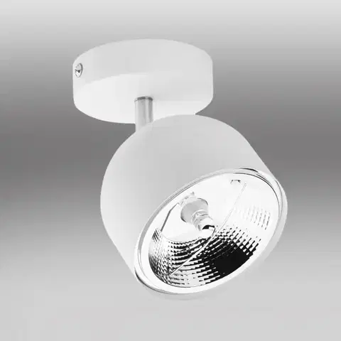 Lampy do obývačky Nástenné bodové svietidlo Altea 6512 White LS1