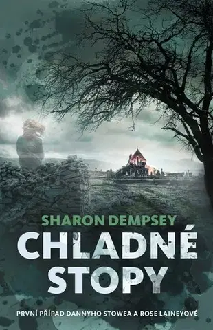 Detektívky, trilery, horory Chladné stopy - Sharon Dempsey,Jitka Šišáková