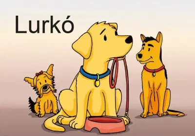 Partnerstvo Lurkó - neuvedený,András Frankó