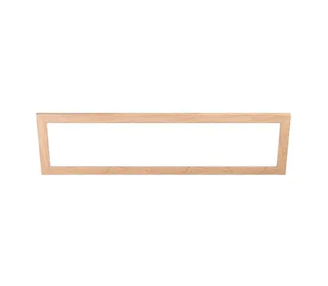 Svietidlá Eglo 99424 - Rám na svietidlo SALOBRENA 300x1200 mm 99424