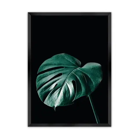 Obrazy Plagát Dark Monstera