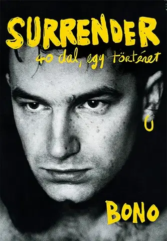 Film, hudba Surrender - 40 dal, egy történet - Bono