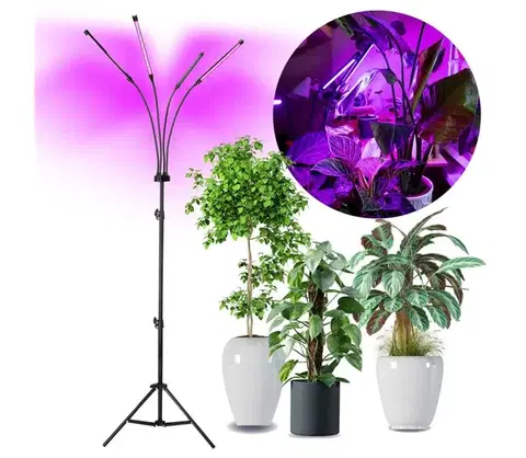 Lampy  LED Stmievateľná stojacia lampa na pestovanie rastlín VITARO 4xLED/7,5W/230V čierna KDSN00000086