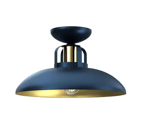 Svietidlá  Prisadený luster FELIX 1xE27/60W/230V modrá MLP7713
