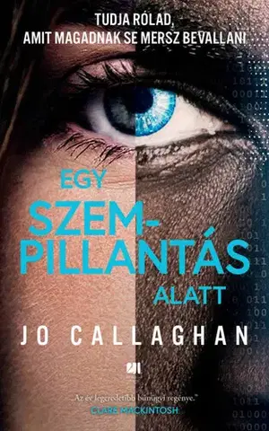 Detektívky, trilery, horory Egy szempillantás alatt - Jo Callaghan,Miklós Kövesdi