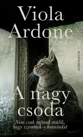 Svetová beletria A nagy csoda - Viola Ardone