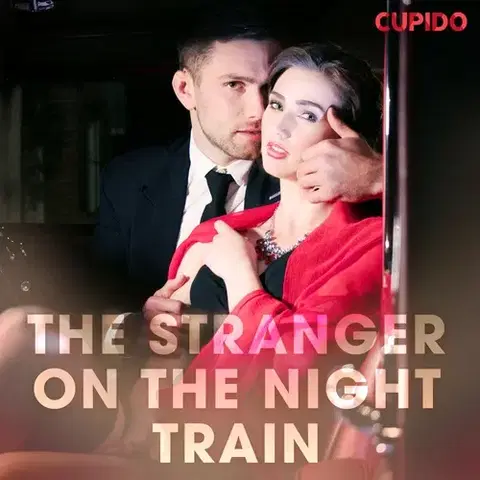 Erotická beletria Saga Egmont The Stranger on the Night Train (EN)