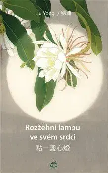 Beletria - ostatné Rozžehni lampu ve svém srdci - Liu Yong