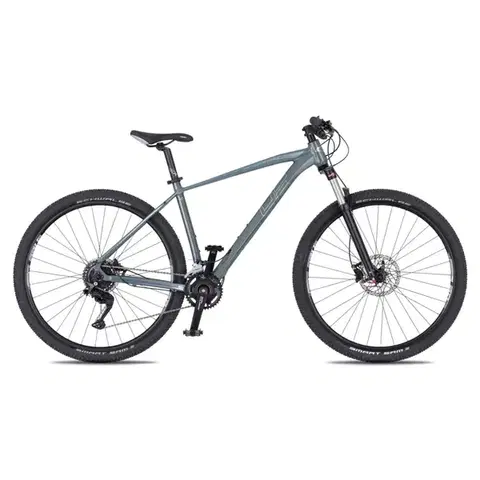 Bicykle 4EVER FRONTBEE foggy/silver - M (17", 165-175 cm)