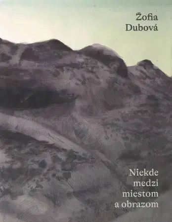 Maliarstvo, grafika Žofia Dubová: Niekde medzi miestom a obrazom - Martina Bábinová