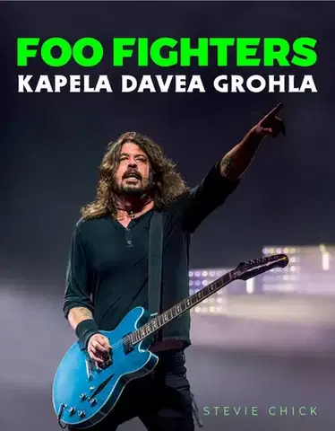 Film, hudba Foo Fighters: Kapela Davea Grohla - Stevie Chick