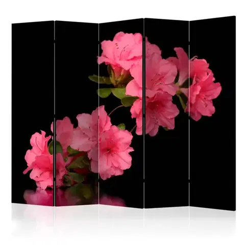 Paravány Paraván Azalea in Black Dekorhome