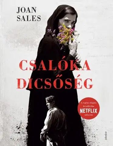 Historické romány Csalóka dicsőség - Joan Sales