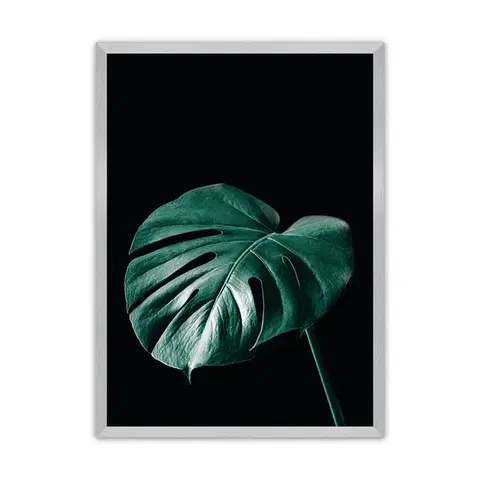 Obrazy Plagát Dark Monstera