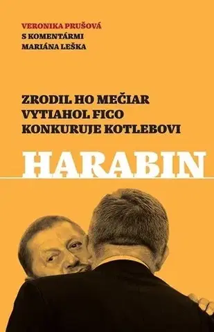 Politológia Harabin - Veronika Prušová