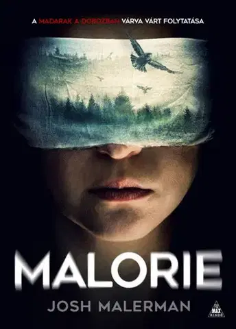 Detektívky, trilery, horory Malorie - Madarak a dobozban 2. - Josh Malerman,Csaba Rusznyák