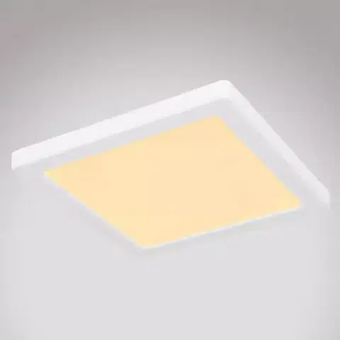 Lampy do obývačky Stropnica 12380-18W LED 18W biely PL
