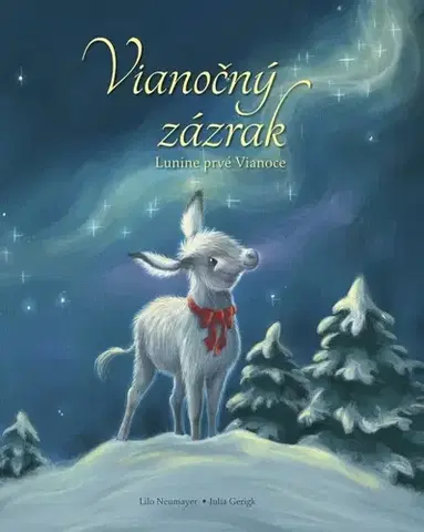 Rozprávky Vianočný zázrak: Lunine prvé Vianoce - Julia Gerigk,Lilo Neumayer,Katarína Šmidtová