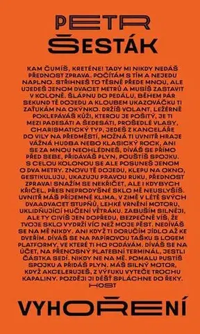 Česká beletria Vyhoření - Petr Šesták