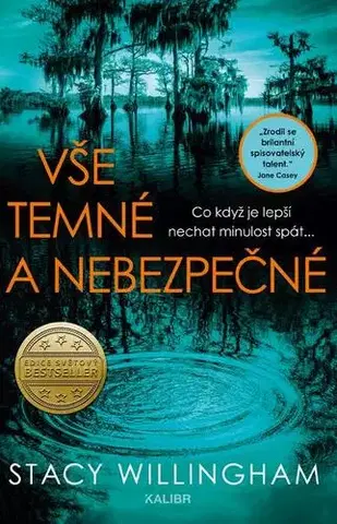 Detektívky, trilery, horory Vše temné a nebezpečné - Stacy Willingham