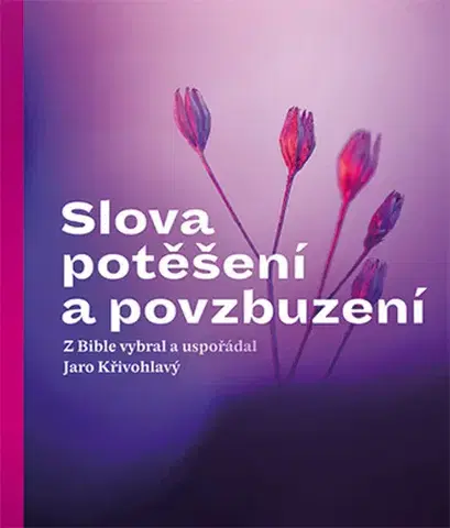 Duchovný rozvoj Slova potěšení a povzbuzení, 2. vydání - Jaro Křivohlavý