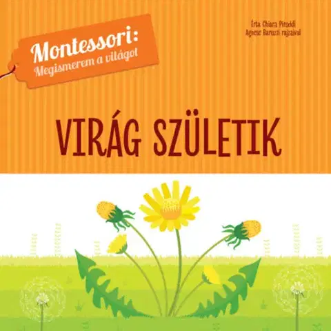 Leporelá, krabičky, puzzle knihy Virág születik - Montessori: Megismerem a világot - Chiara Piroddi
