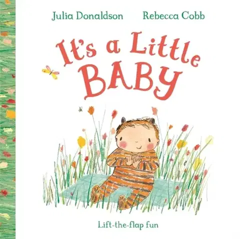 Leporelá, krabičky, puzzle knihy It's a Little Baby - Julia Donaldson