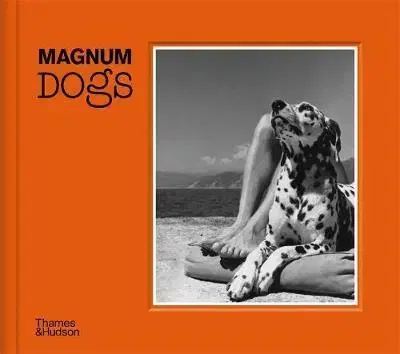 Fotografia Magnum Dogs - Magnum Photos