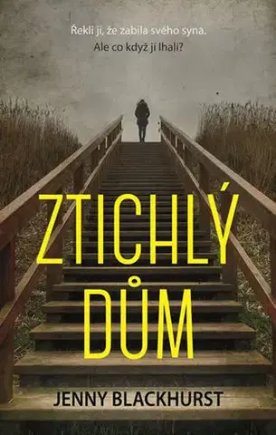 Detektívky, trilery, horory Ztichlý dům - Jenny Blackhurst