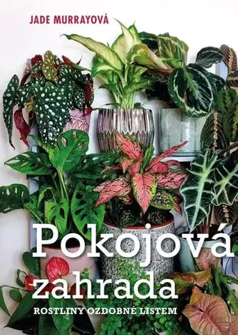 Izbové rastliny Pokojová zahrada - Jade Murrayová
