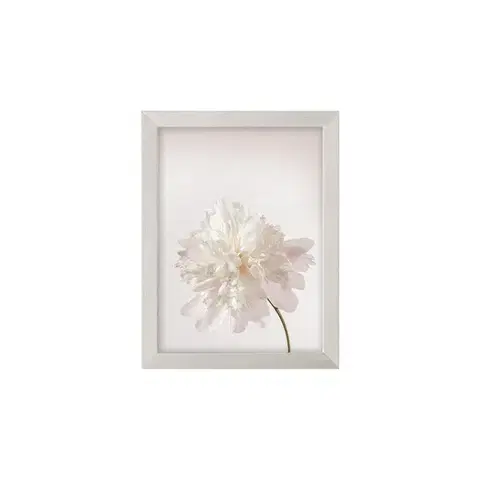 Obrazy Obraz Peony III 18x24cm silver