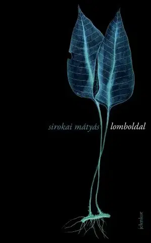 Svetová beletria Lomboldal - Mátyás Sirokai