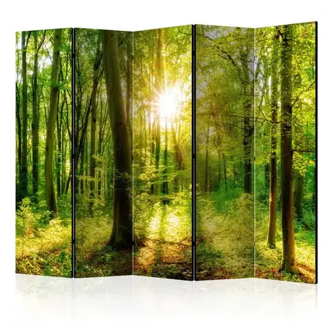 Paravány Paraván Forest Rays Dekorhome