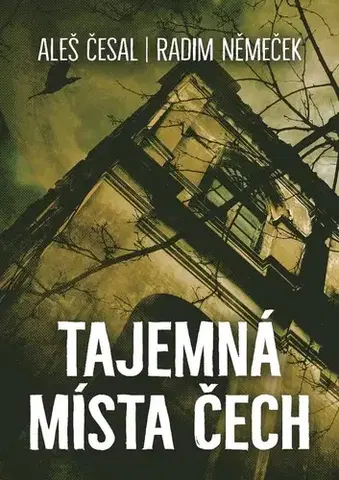 Mystika, proroctvá, záhady, zaujímavosti Tajemná místa Čech - Aleš Česal,Radim Němeček