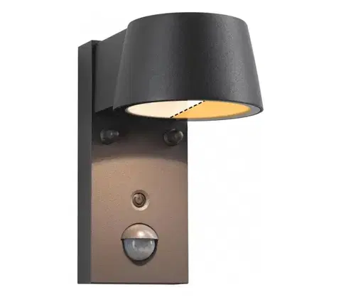 LED osvetlenie Paulmann 94714 - LED/6W IP44 Vonkajšie nástenné svietidlo so senzorom CAPERA 230V 94714
