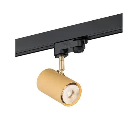 Svietidlá Argon 4323 - LED Bodové svietidlo do lištového systému HAGA LED/9W/230V zlatá 4323