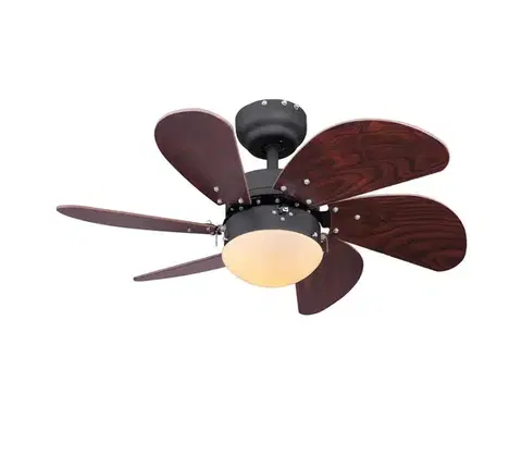 Ventilátory Globo 03800 - Stropný látor RIVALDO 1xE14/60W/230V 03800
