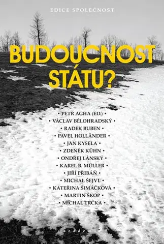 Svetové dejiny, dejiny štátov Budoucnost státu? - Petr Agha