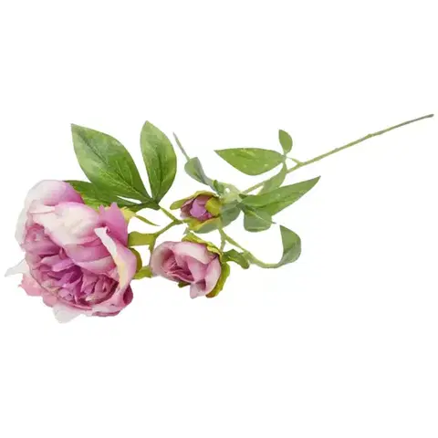 Záhradné dekorácie Peonia 59cm cyklámenová A2010574