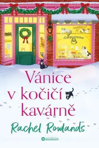 Romantická beletria Vánice v kočičí kavárně - Rachel Rowlands