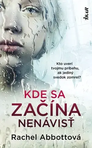 Detektívky, trilery, horory Kde sa začína nenávisť - Rachel Abbottová,Jana Seichertová